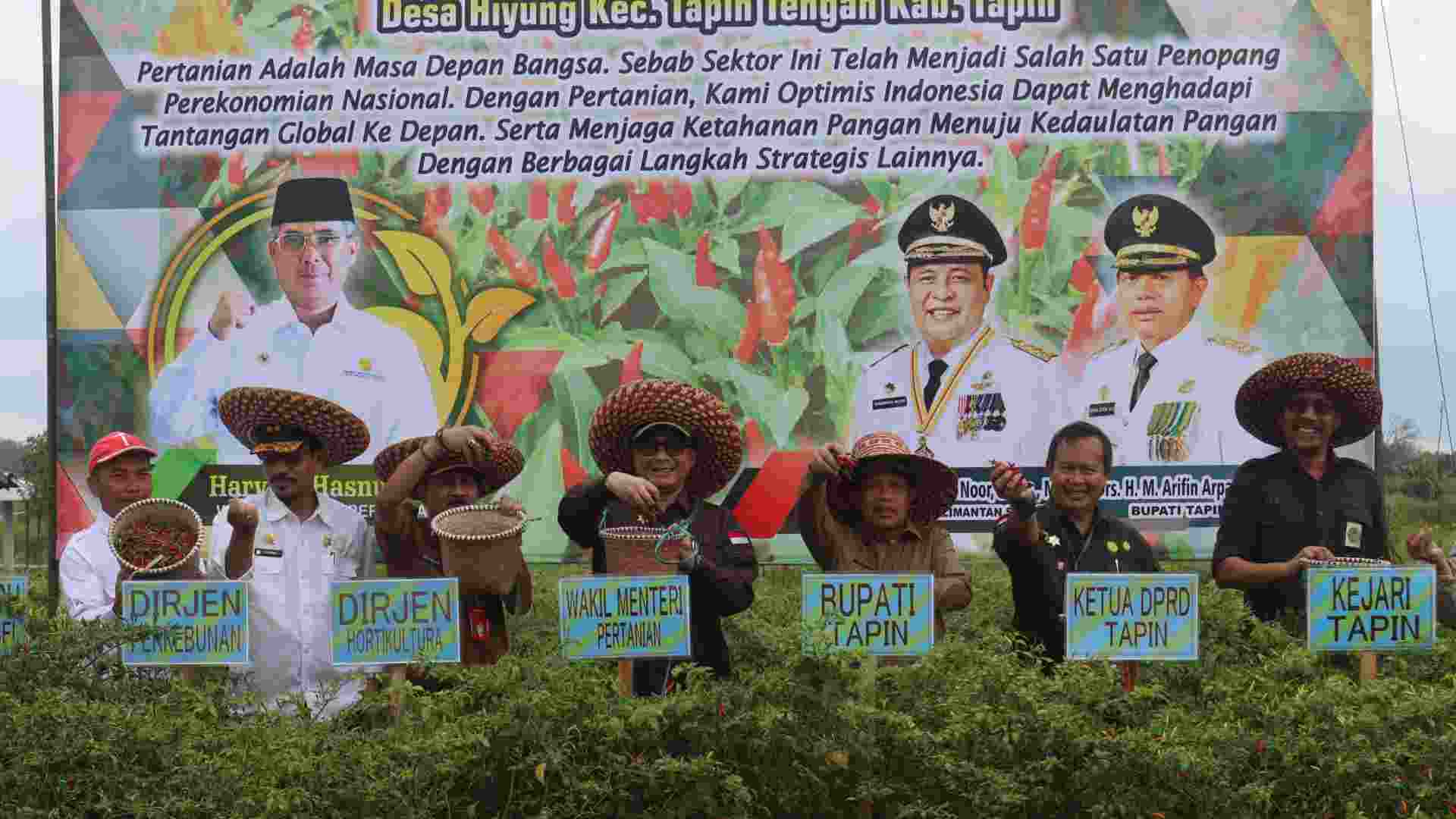 Panen Dan Tanam Cabai Hiyung Tapin Wamentan Upaya Bersama Kendalikan