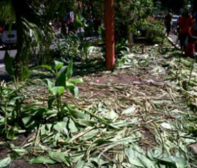 Ancaman Ahok Soal Buruh Rusak Taman Hanya Omong Kosong