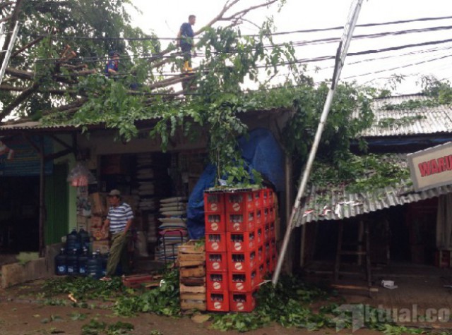 Angin Kencang Landa Jakarta, Waspada Pohon Tumbang