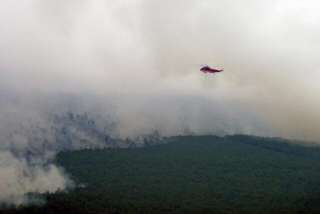 BMKG Kembali Rekam Puluhan Titik Panas di Riau