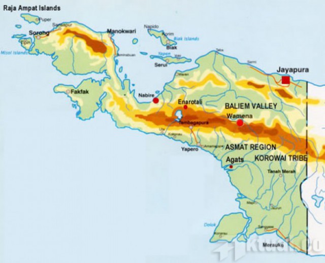Bangun PLBN Papua, Pemerintah Siapkan Rp20 Miliar