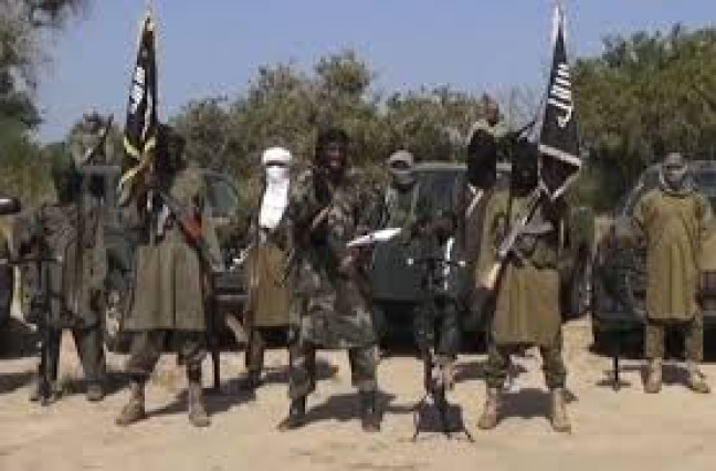Boko Haram Ambil Alih Kota Marte