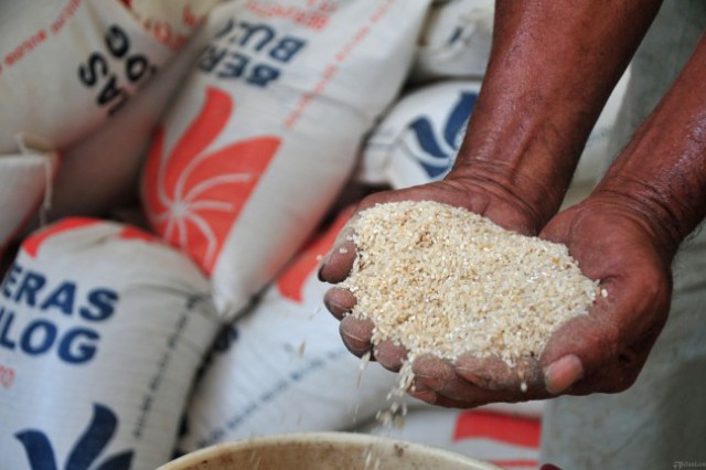 Bulog : Beras Sintetik Belum Beredar di Medan