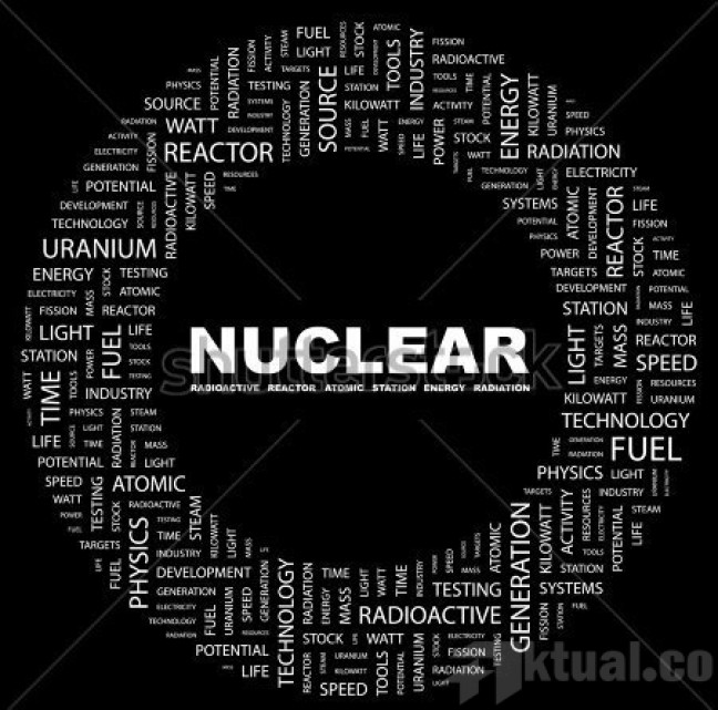 DEN: Indonesia Belum Butuh PLTN