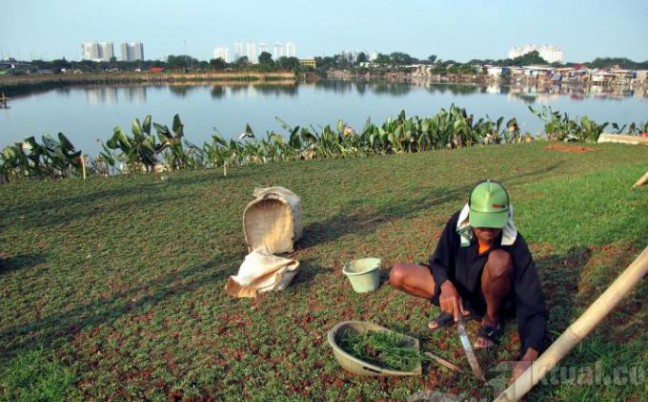 DPRD DKI Bakal Dorong Pemprov DKI Revitalisasi Badan Air