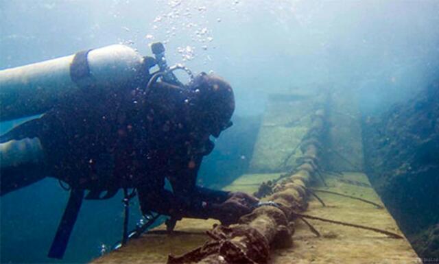 Ditemukan, Hutan Tersembunyi Berusia 10 Ribu Tahun di Laut