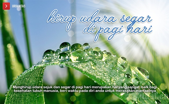 Fakta Ilmiah: Manfaat Hirup Udara Segar bagi Kesehatan Tubuh Manusia