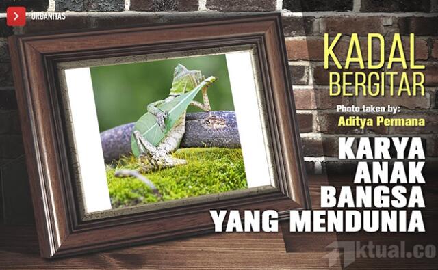 Foto Kadal Bergitar Karya Fotografer Indonesia Gemparkan Dunia Maya