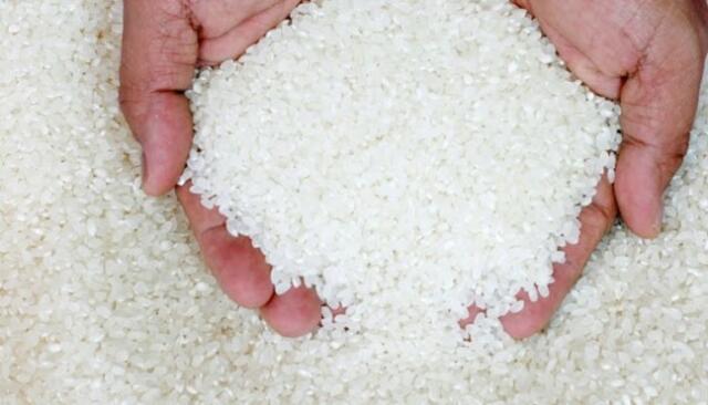 Harga Beras di Bogor Melonjak,Tembus Rp9.000