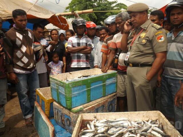 Ikan Berformalin, DPRD NTT Panggil DKP