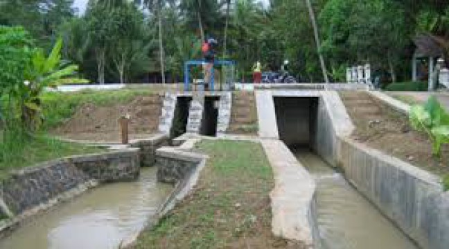 Irigasi Sawah dan Rawa 48.500 Hektar Akan Dibangun di Kaltim