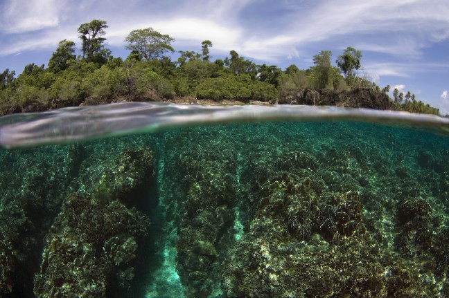 Kembangkan Pariwisata Pemkab Taliabu Gandeng Universitas