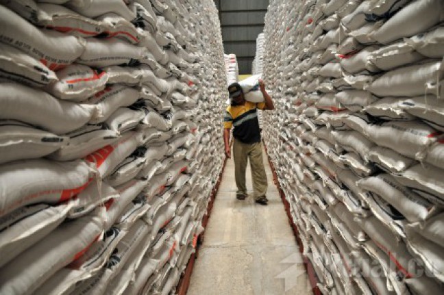 Kenaikan Harga Beras Menggerus Pendapatan Buruh