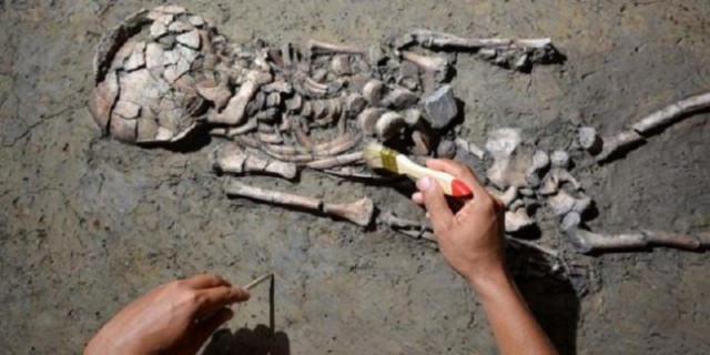 Kerangka Manusia Abad 12 Ditemukan di Natuna