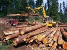 Satgas PKH Sita 167.912 Hektare Lahan Konsesi PT Toba Pulp Lestari