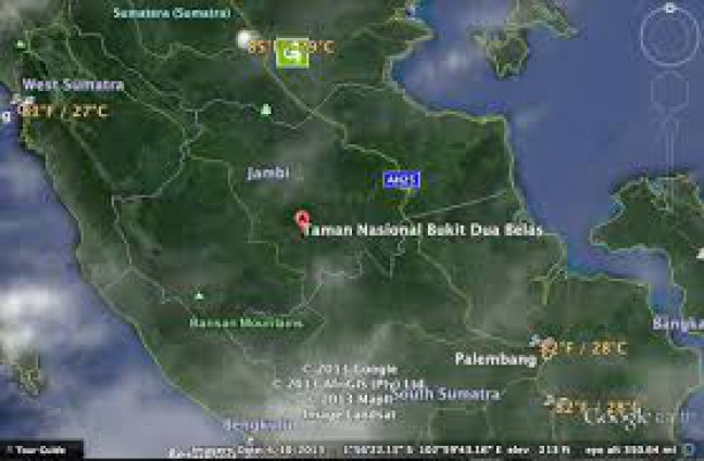 Luas Taman Nasional Bukit Duabelas Berkurang 14 Ribu Hektar