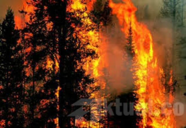 Malaysia-Indonesia Akan Perbaharui Kesepakatan Masalah Kabut Asap