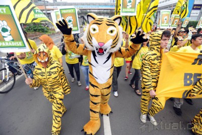 Mengaum Lebih Keras untuk Hutan Indonesia