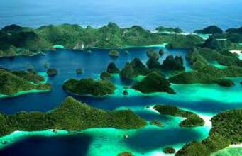 DPR: Kerusakan Terumbu Karang di Raja Ampat Adalah Kelalaian Kolektif