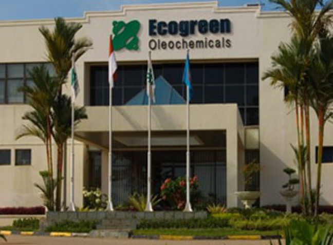 Pasokan Gas Nihil, PT Ecogreen Rumahkan Ratusan Karyawan