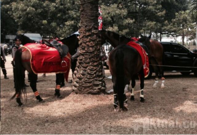 Pasukan Berkuda Akan Kawal Arak-arakan Jokowi-JK