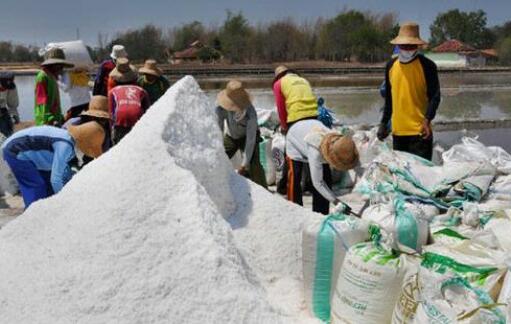 KPPU: Keuntungan Pelaku Kartel Garam Capai Rp2,25 Triliun