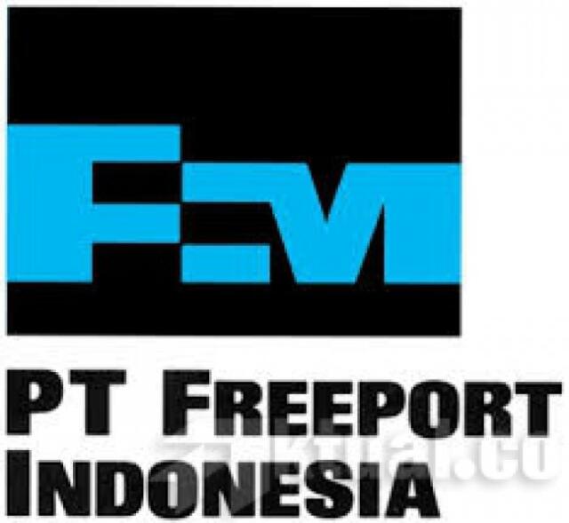 Pemerintah Selidiki Tewasnya Karyawan Freeport