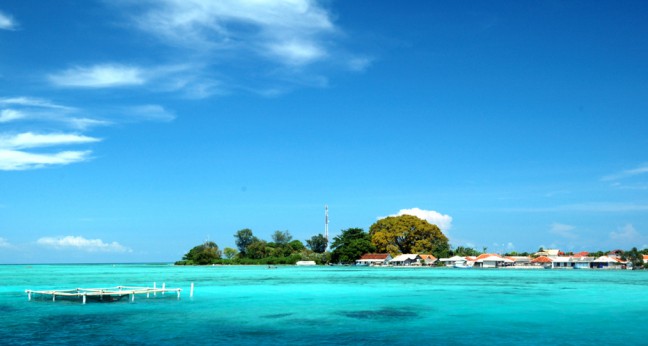 Pemkab Kepulauan Seribu Bakal Bangun Museum Paus