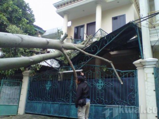 Pemkot Jaktim Siap Ganti Rugi Korban Yang Tertimpa Pohon