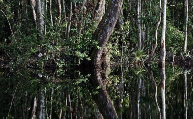 Peneliti Gambut Tropis: Banyak Masyarakat yang Belum Paham PP No.71/2014