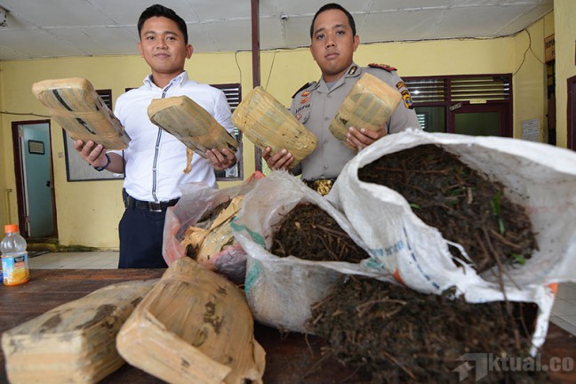 Pengadilan Vonis Seumur Hidup Terpidana 511 KG Ganja