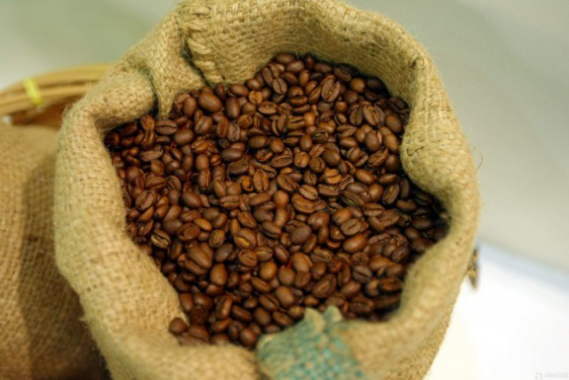 Pengusaha Kopi Gayo Sulit Tembus Pasar Skandinavia