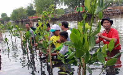 Pertamina Tanam 5.700 Bibit Mangrove