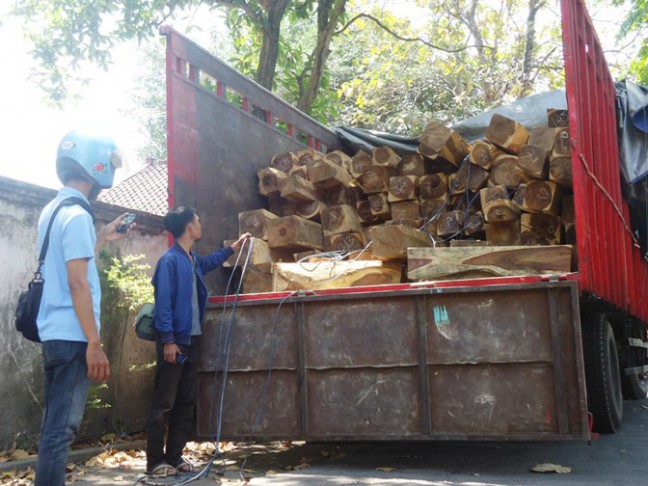 Polhut Amankan Dua Truk Bermuatan Kayu Olahan