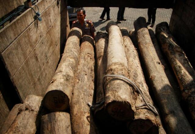 Polres Cilacap Amankan 41 Kayu Jati Ilegal