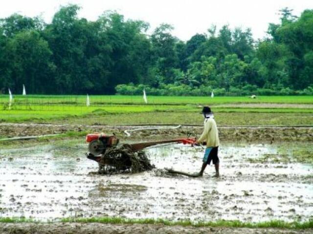Realisasikan Janji, Mentan Diingatkan Soal Pengadaan Traktor