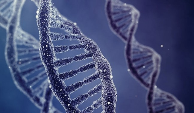 Subhanallah, Ini Bukti Ilmiah Basa Keenam Jadi Kunci Kehidupan Sel