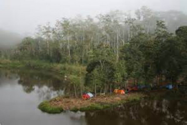Surga Burung di Danau Tambing (Bag. 2)
