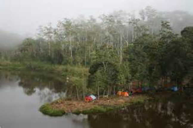 Surga Burung di Danau Tambing (Bag. 2)