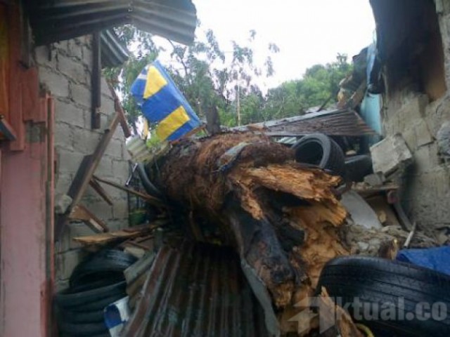 Tangani Pohon Tumbang, Sudin Pertamanan Jaksel Kerahkan 'Buser'