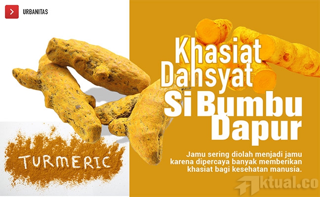 Tumbuhan Kunyit Berkhasiat Alami bagi Kesehatan