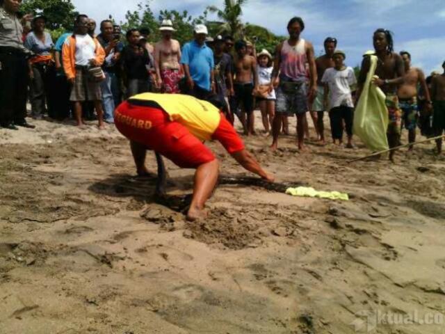 Ular Phyton 2,5 M Gegerkan Turis di Pantai Kuta Bali