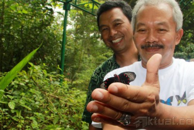 Upaya Pelestarian Kupu-Kupu