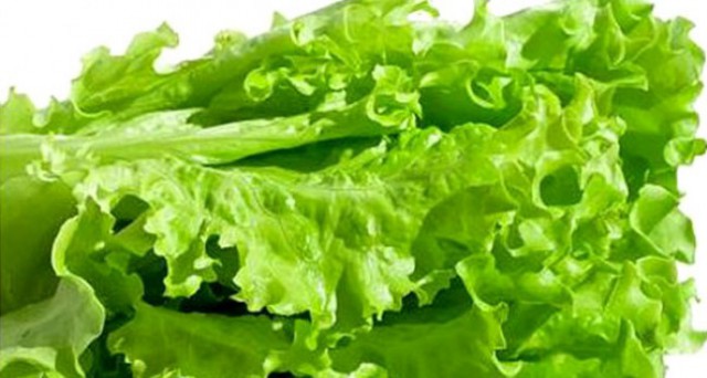 Warna Daun Selada Tentukan Efek Antioksidan