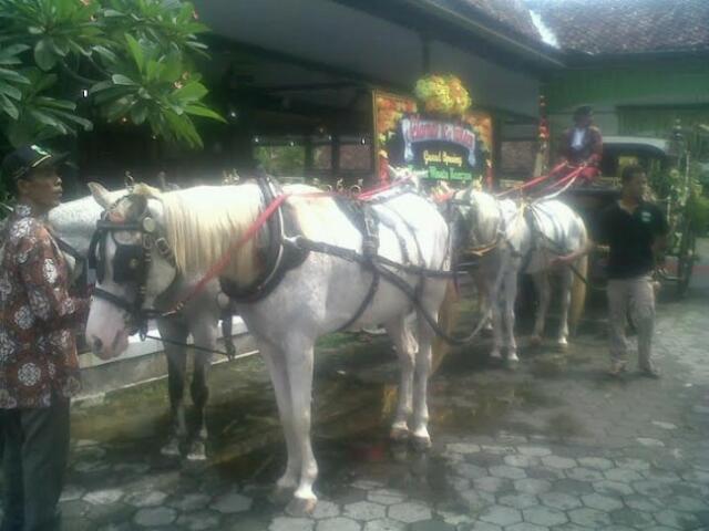 Yogyakarta Operasikan Kereta Kencana Untuk Wisatawan