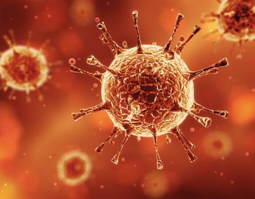 Wapres JK: Dugaan Kasus Antraks di Godean Harus Ada Perlakuan Khusus