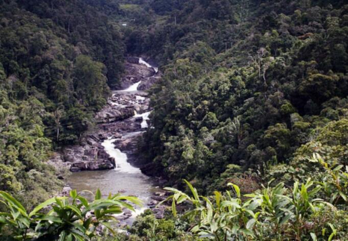 Ranomafana National Park Madagaskar