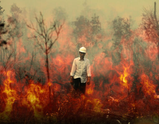 Luas Kebakaran di Sumatera dan Kalimantan Capai 1,7 Juta Hektar