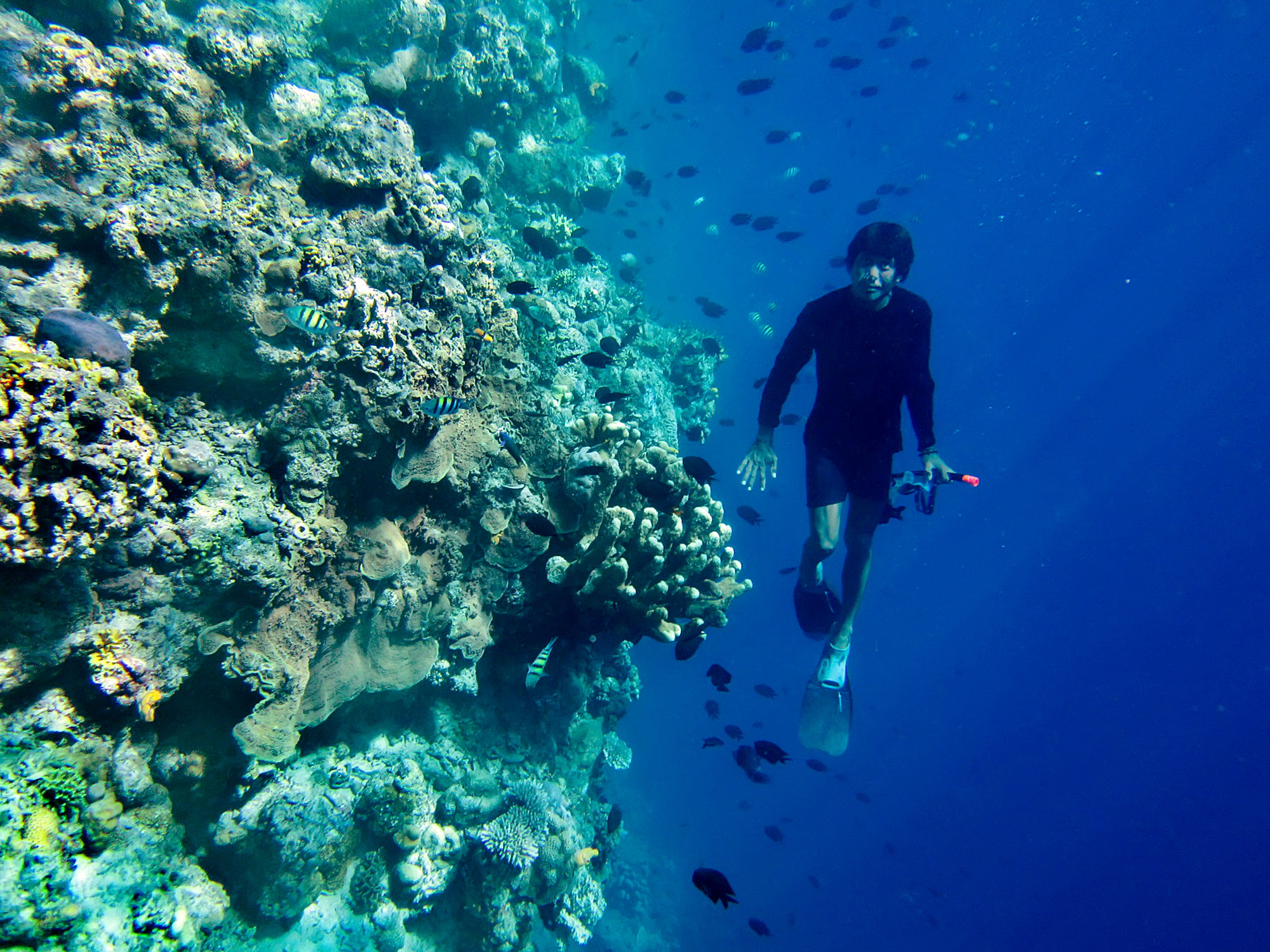 Wisata Taman Laut Bunaken Terhangat Terpercaya