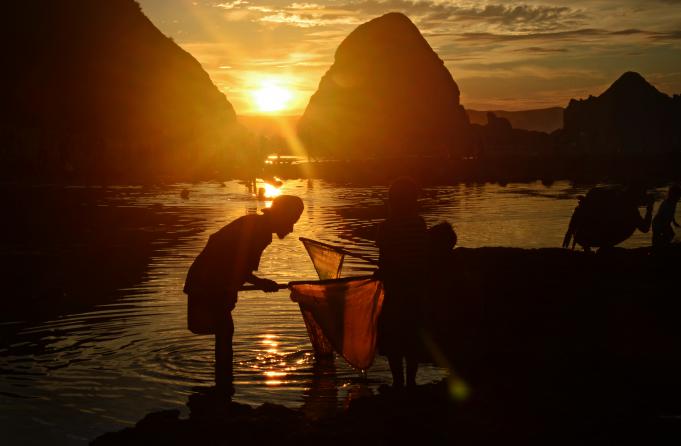 Sejumlah warga dan wisatawan mengumpulkan "Nyale" (cacing laut warna-warni) pada Festival Bau Nyale di pantai Seger, Desa Kuta, Praya